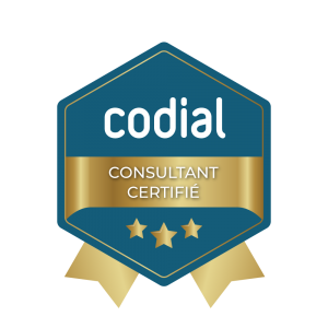 Consultant_certifie-300×300 JEROME NIQUET CONSULTANT CODIAL CERTIFIE